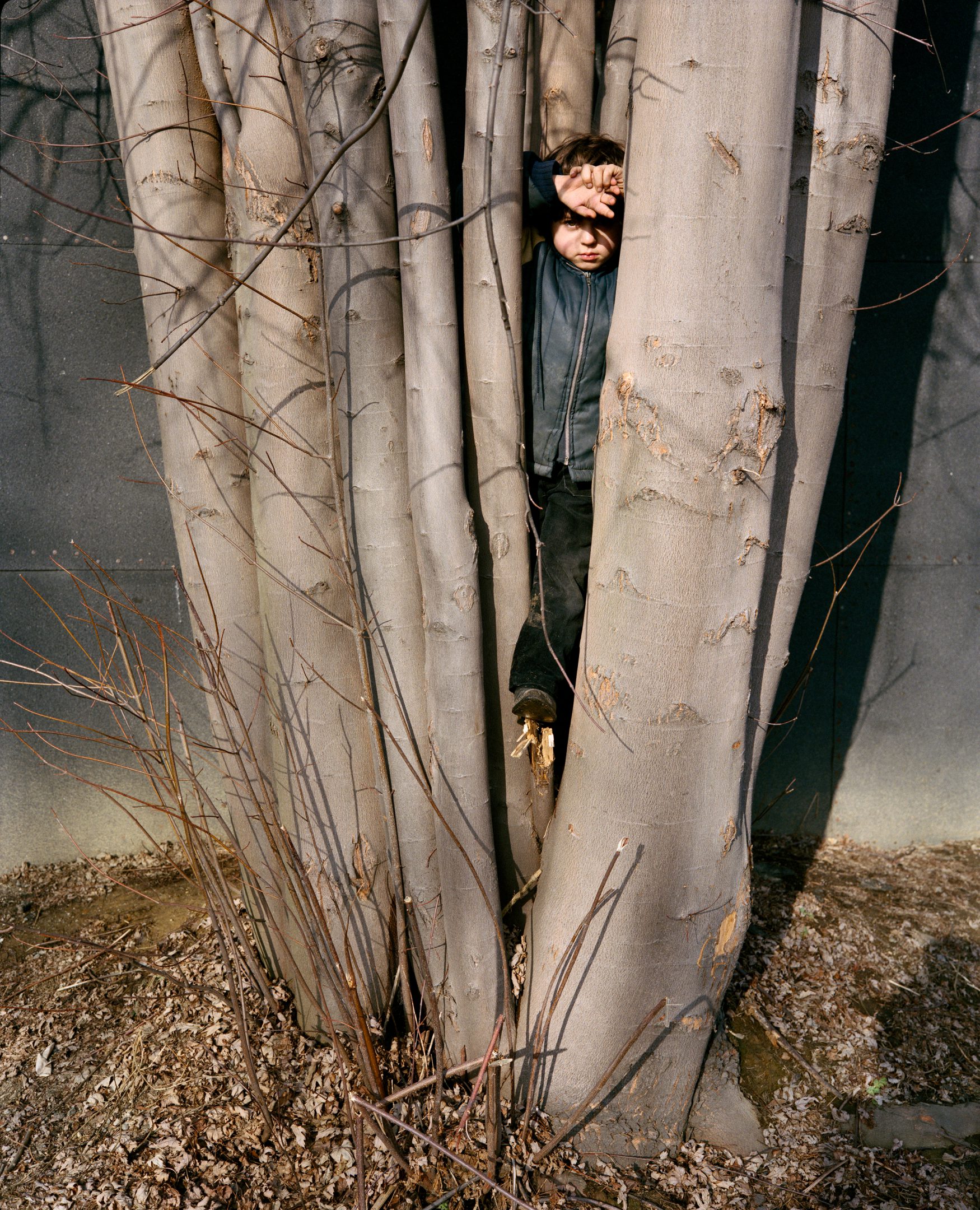 Paul D'Amato - Boy in Tree, Lewiston, Maine 1995