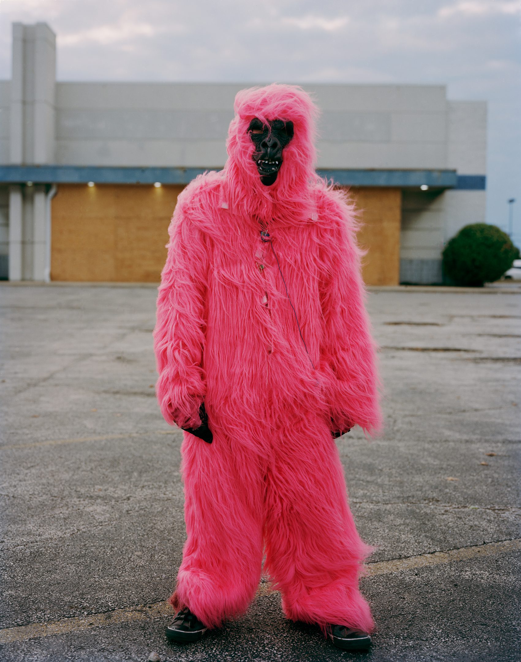 Paul D'Amato - Jose in Gorilla Suit, 2018